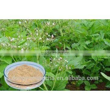 Valerian Root Extract