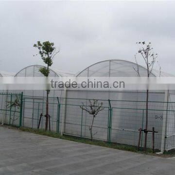 Plastic Film Greenhouse Polyethylene Film Multi Span Agriculture Greenhouse