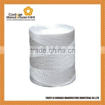 5500' Poly Twine