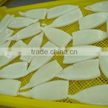 Frozen Squid