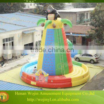 Hot sale inflatable rock climbing wall