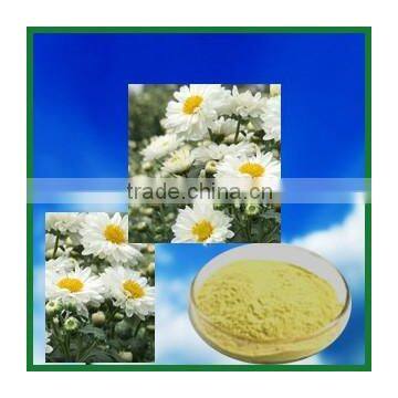 Chrysanthemum Powder