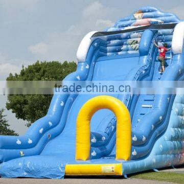 2016 Inflatable water slide/ Inflatable bouncy slide for kids& adult