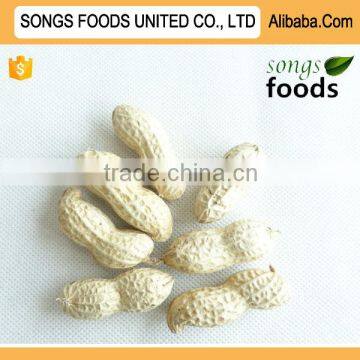 Peanut Meal Groundnut Meal Cheap Peanut Price