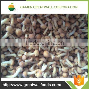 Purchase frozen wild button mushroom price