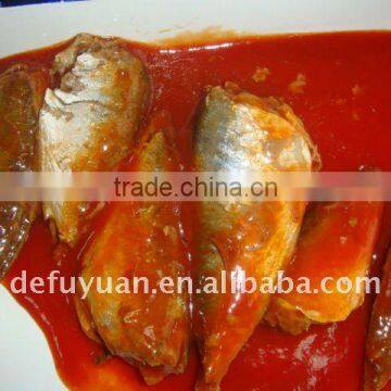 Popular Sale Canned Sardine in Tomato Sauce photo-3