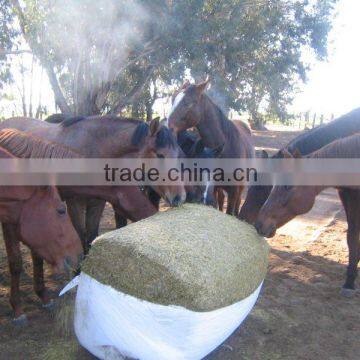 maintenance silage