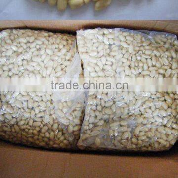 Blanched Peanuts Size 29/33/blanched Peanut New Crop/new Crop Chinese Long Type Blanched Peanut Kernel