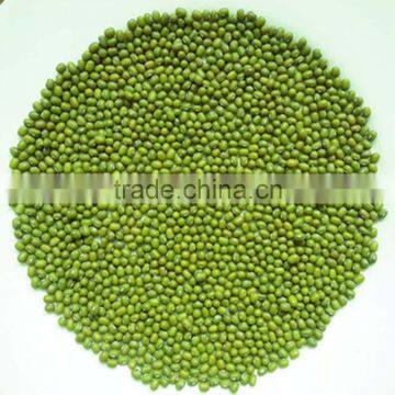 JSX food grade mung bean 100% pure AD drying mung bean price