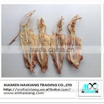 Export dried whole squid for you