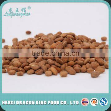 Price of Raw Sweet Apricot Seed / Buy Direct from China Factory