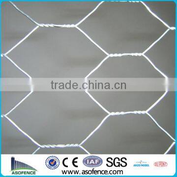 Double twisted hexagonal steel wire mesh (Anping A.S.O Factory)