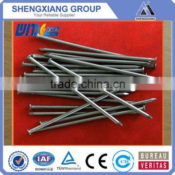 Professional manufacture common round wire nail / galvanized concrete nails