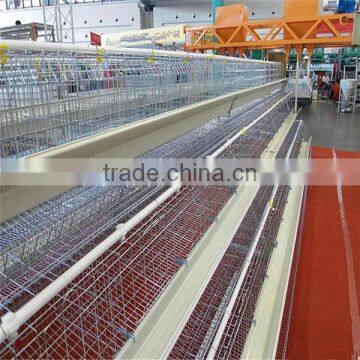 High quality chicken cage used automatic poultry farming equipment