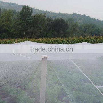 for agriculture and vegetable and fruit use Anti-insect Net