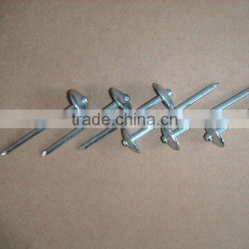 BWG9 X 2.5" Galvanized umbrella roofing nails