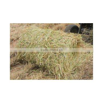 Agricultural Machine Wheat Straw/corn Stalk Picking up Baler Machines photo-4