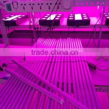 Lettuce grow tube led light indoor full spectrum lighting 2015