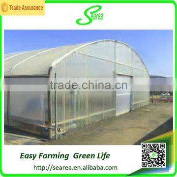 Searea Hot Sale Commerical Farming Single-span Plastic Greenhouse photo-4