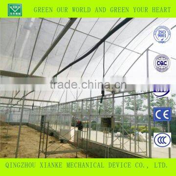 Agriculture Galvanized Steel Structure Greenhouse for Planting photo-3