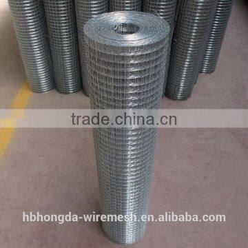 Electricity galvanized welded wire mesh