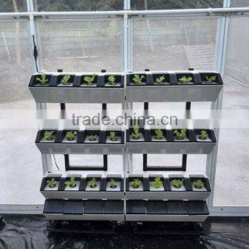 Plastic Garden Structure Wholesale Hydroponic Greenhouse photo-2
