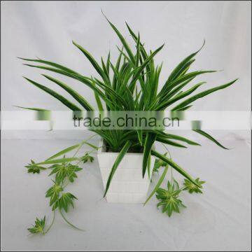 artificial white edge spider plant hanging spider plant