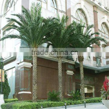 SJ2017200001 Hot Sale Outdoor Decorative Fake Washington Artificial Plastic Palm Tree uv Anti