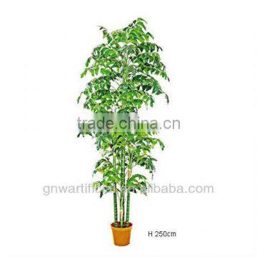 G65 GNW decorative plants