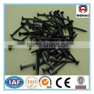 Blue Shoe Tack Nails From Manufacture