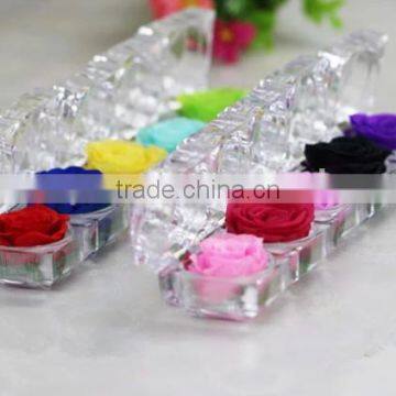 Preserved Flower Wedding Gifts for Guests Artificial Blue Rose Flower