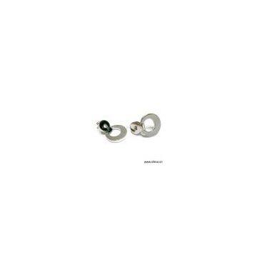 Sell Titanium Earring/Stainless Steel Earring