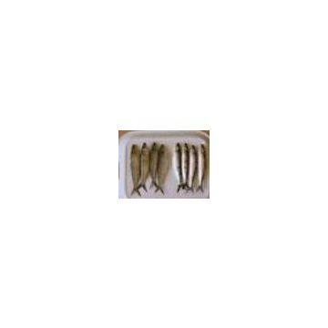 Sell Frozen Sardine (Indonesia)