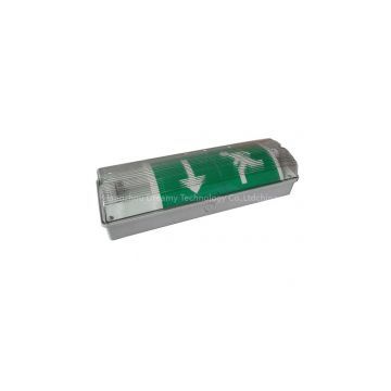 IP65 Fluorescent Tube Emergency Light