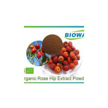 Organic Rose Hip Extract Powder