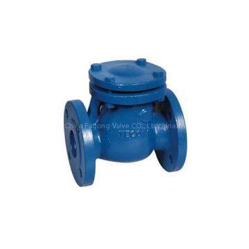 Swing Check Valve