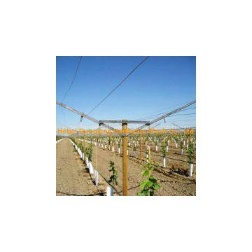 Vineyard Use Open Gable Trellis System With All Accessories