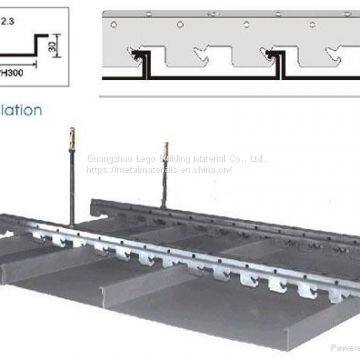 Roll Coating Pull Bend Aluminum Buckle Ceiling Convention Center