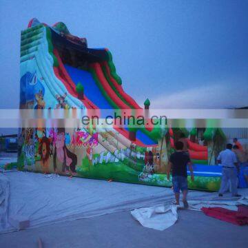 Newest Design Top Quality Inflatable Water Slide For Adult photo-2