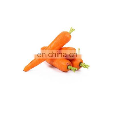 Natural carrot juice extract powder