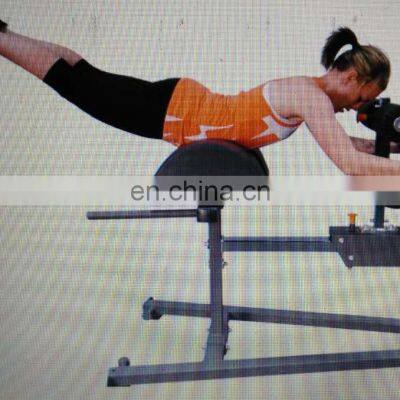 ASJ-S871 Adjustable Roman Chair Machine Fitness Equipment Machine Commercial Gym Equipment photo-3