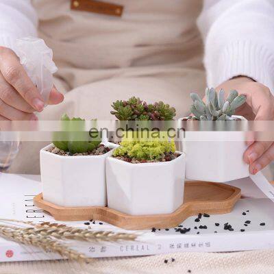 High Quality Wholesale Modern Ceramic White Hexagon Shape Planter Pot Small With Bamboo Tray