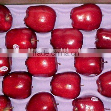 Red Delicious Apple/Huaniu Apple