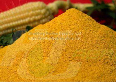 Protein 60% Animal Feed Poultry Feed Additive Grade Corn Gluten Meal Corn Not Gluten Meal photo-2