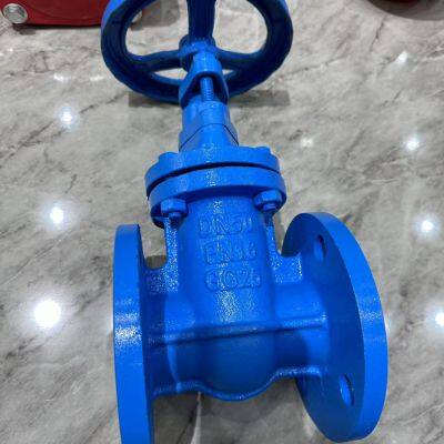 Factory Direct DIN Pn16 Cast Iron Ductile Iron GG25 Manual Gate Valve Hard Seal GGG50 Flange Wedge Gate Valve photo-5