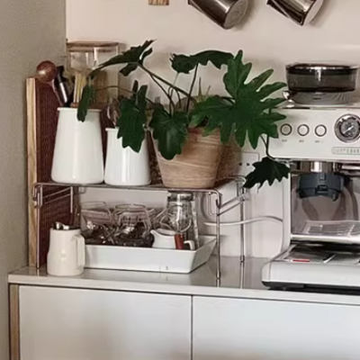 Automatic Coffee Maker with Programmable Timer and 24-Hour Warm Function