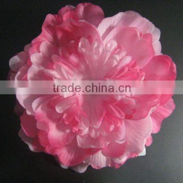 Soft large peony flower