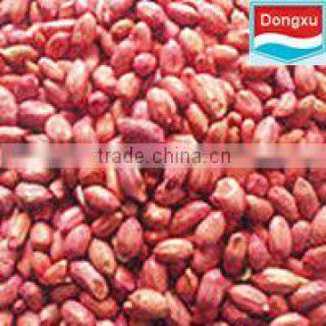 bulk red skin peanut kernels