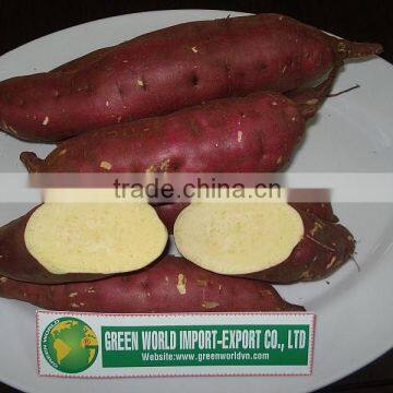 FRESH YELLOW SWEET POTATO