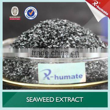 Seaweed Extract Fertilizer Special For Vegetable